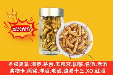 神木市回收散虫草