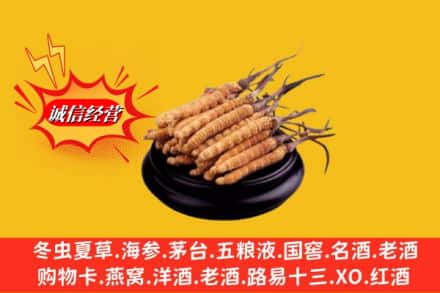 神木市名酒回收冬虫夏草.jpg